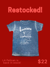 Load image into Gallery viewer, Louisiana Pelican