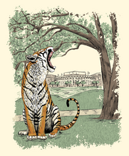 Load image into Gallery viewer, The Indian Mounds Boxy Tee